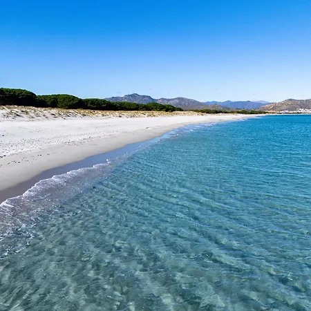 شقة Chiara House سينيسكولا