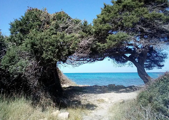 Chiara House سينيسكولا